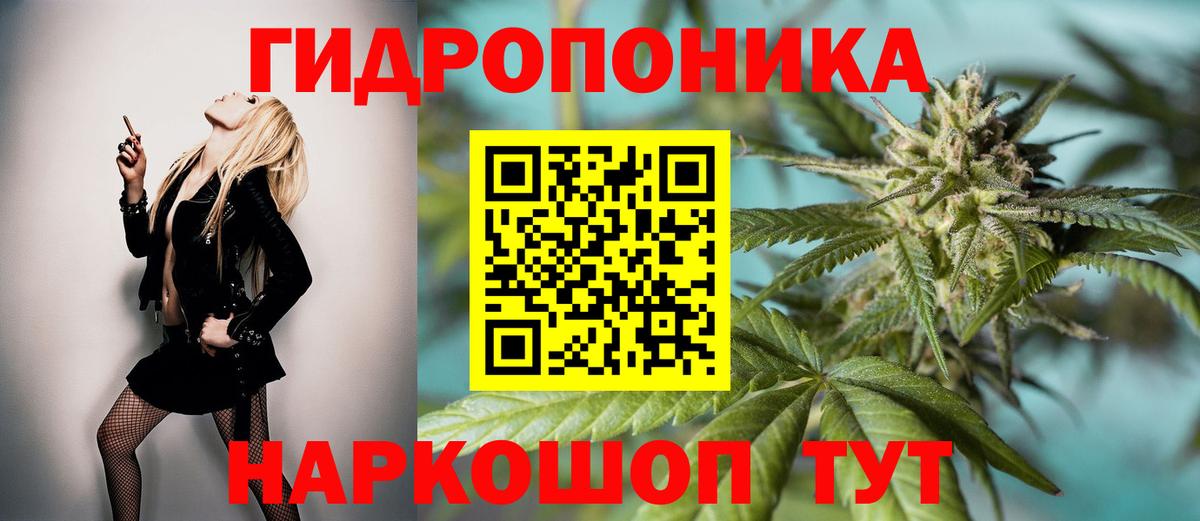 Нурлат  Канабис тримм  Конопля Bruce Banner  Канабис сатива  Вход с VPN 